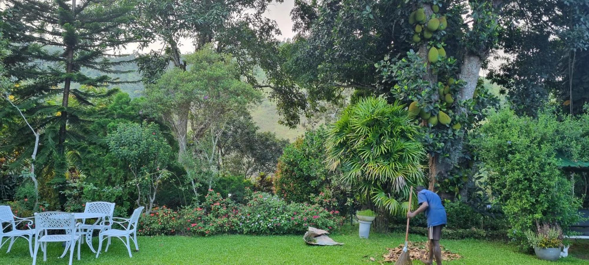 Sithara Estate Bungalow Ella Extérieur photo