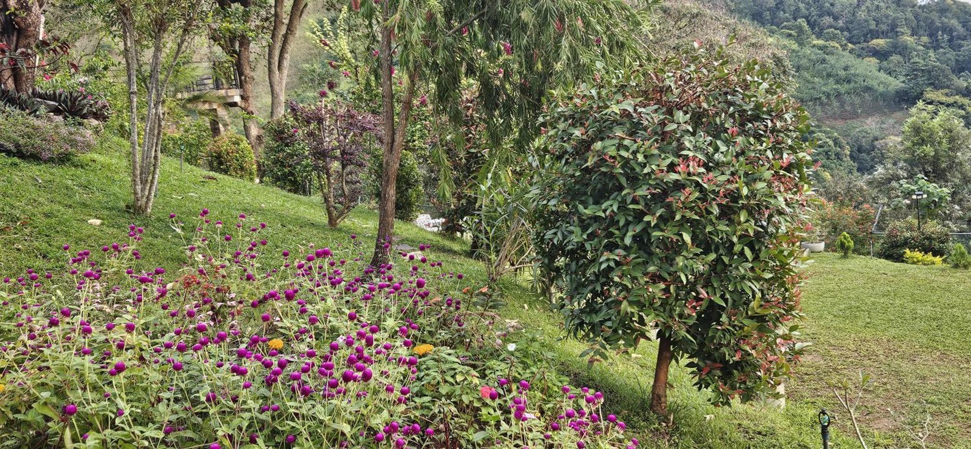 Sithara Estate Bungalow Ella Extérieur photo