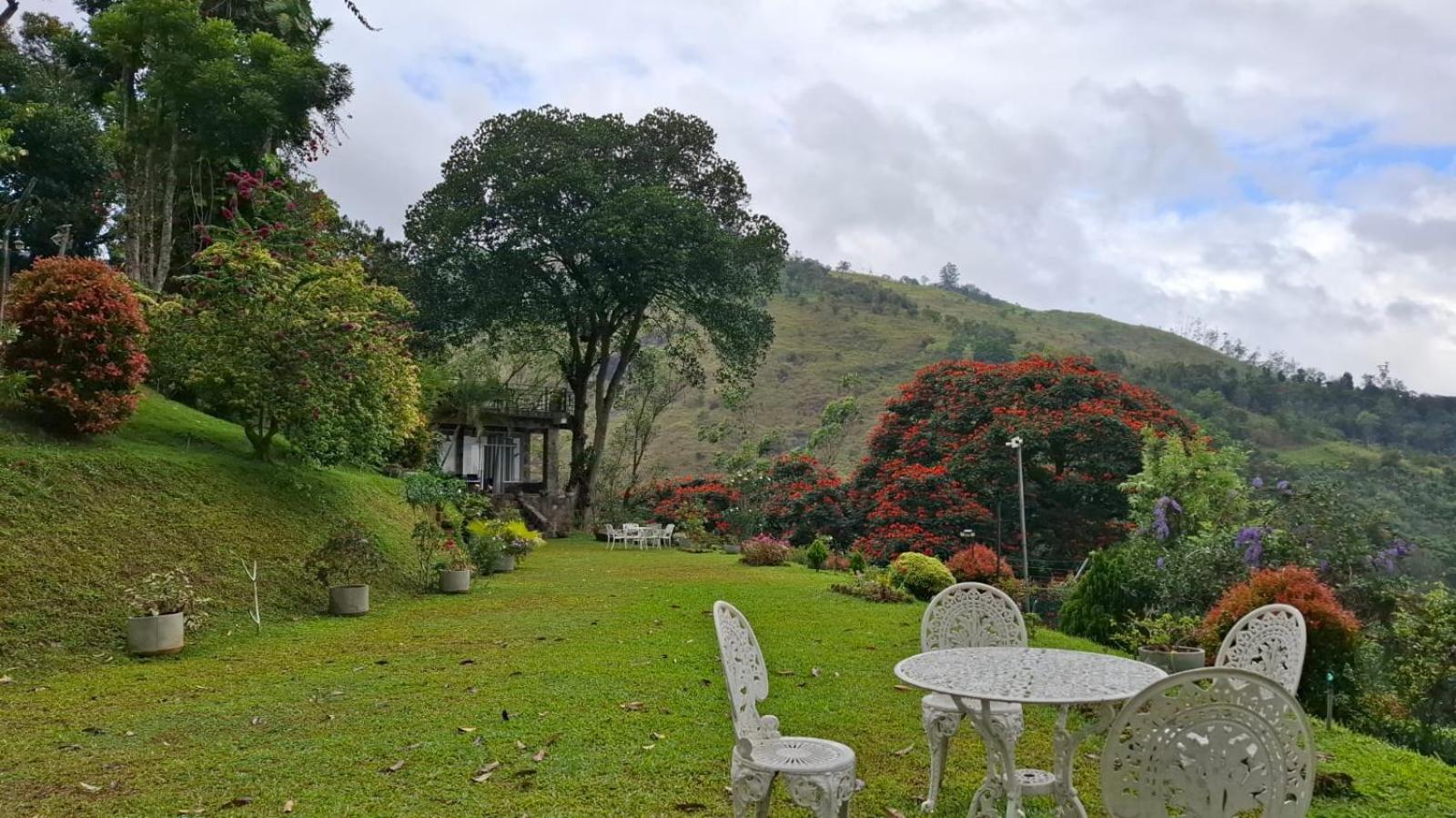Sithara Estate Bungalow Ella Extérieur photo