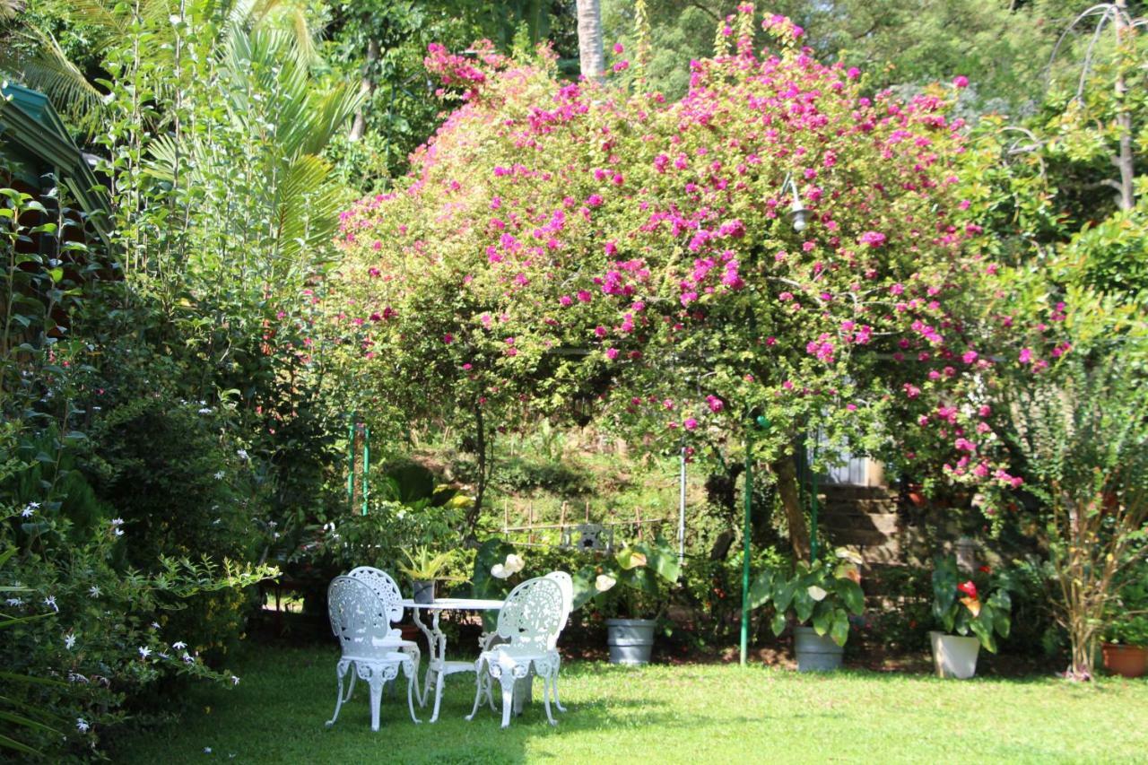 Sithara Estate Bungalow Ella Extérieur photo
